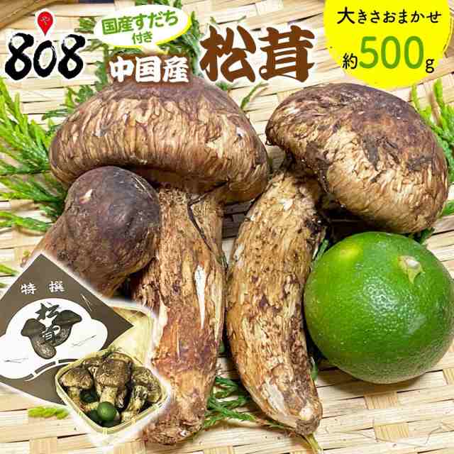 送料無料】【中国産】松茸 専用カゴ入り 国産すだち付き 大きさ