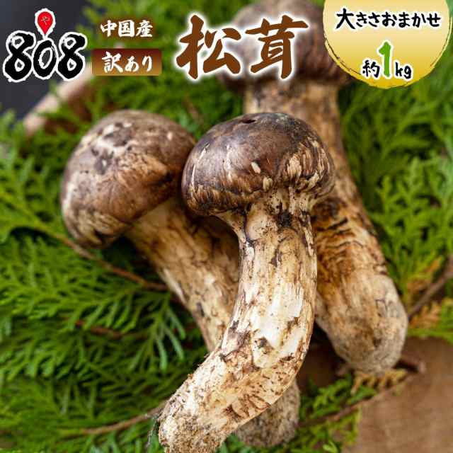 中国産 松茸 約1kg まつたけ マツタケ。 - 野菜