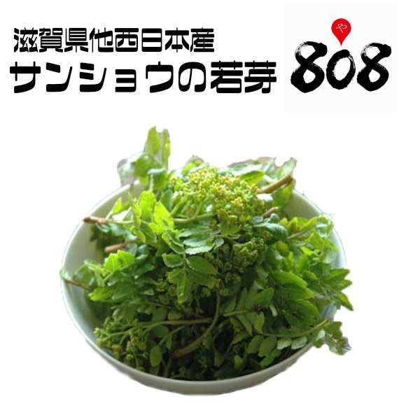 山椒の若芽　808青果店　PAY　au　マーケット－通販サイト　送料別】【滋賀県他西日本産】木の芽　PAY　1パック【ネコポス】【野菜詰め合わせセットと同梱で送料無料】おうち時間/巣ごもり消の通販はau　マーケット