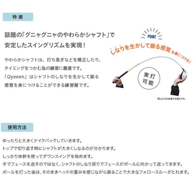 リンクス ティーチング プロ III キュイーン ゴルフ スイング