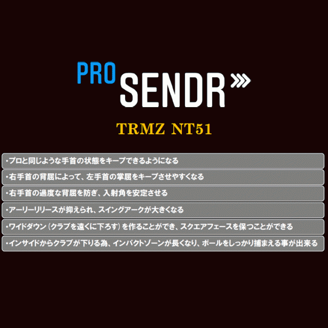 ヤマニ ゴルフ ProSENDR プロセンダー TRMZNT51 スイング練習器 2023