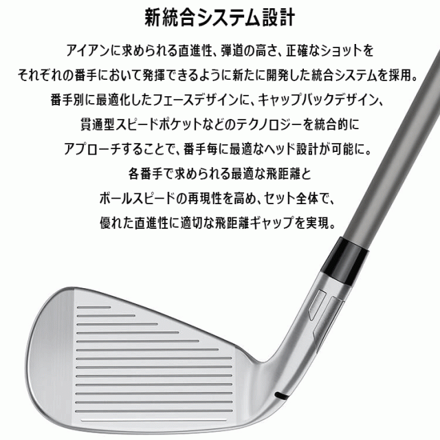 テーラーメイド Qi MAX LITE アイアン 単品 N.S.PRO 790GH スチール 2025モデル 日本仕様