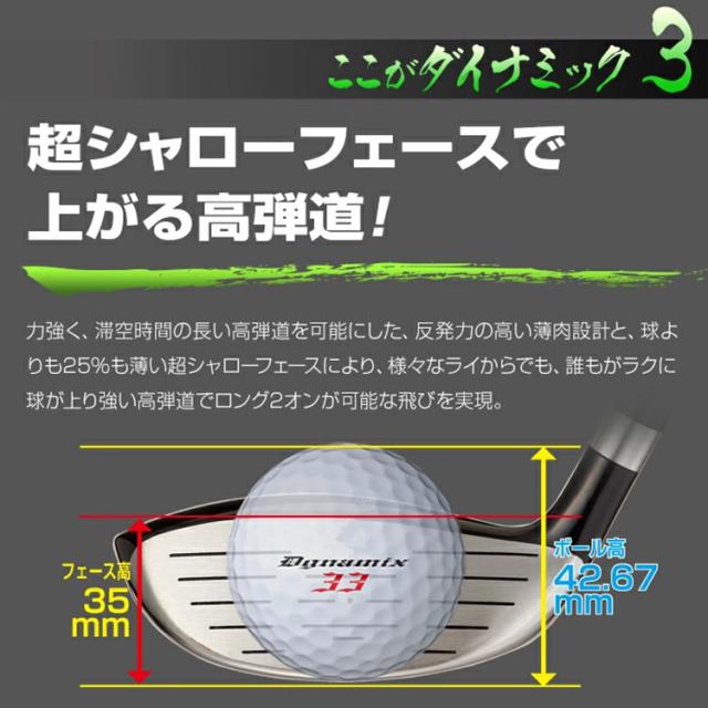 ダイナゴルフ ダイナミクス ユーティリティ U7 ルール適合 ワークテック飛匠シャフト_4