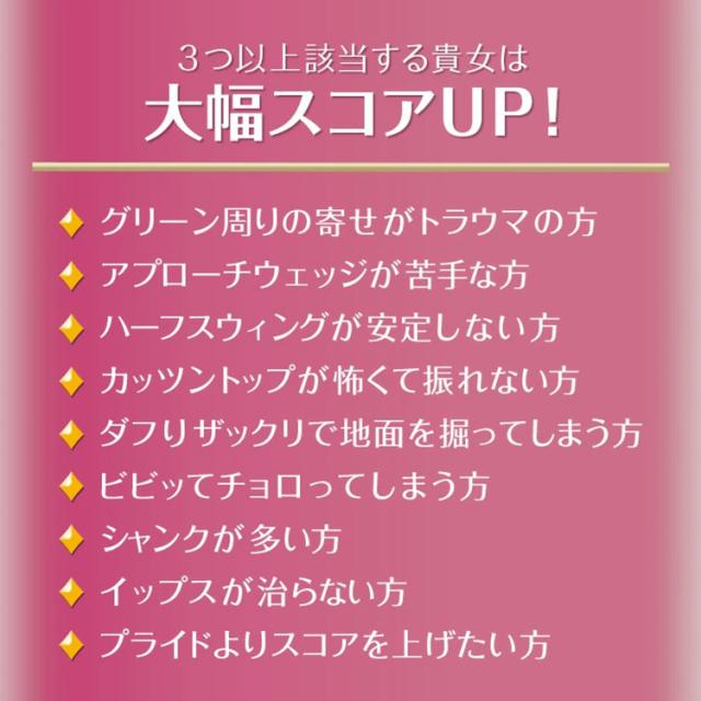 ダイナゴルフ ダイナミクス ツアー チッパー レディース レフティ_8