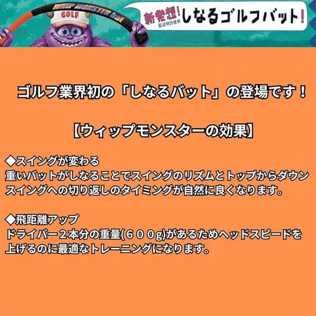 ウィップモンスターバット しなるバット スイング練習器_1