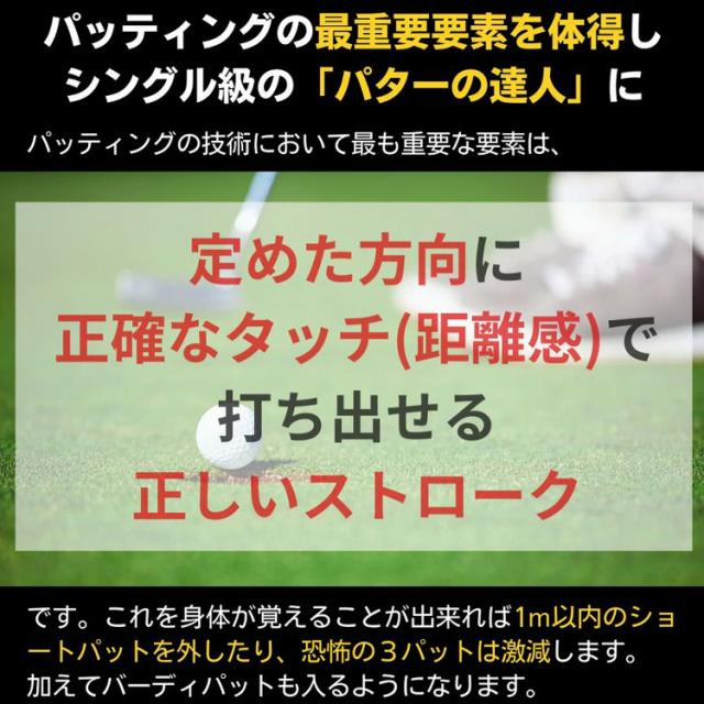 PERFECT STROKE パーフェクトストローク ブラックパターマット パッティング練習器_4
