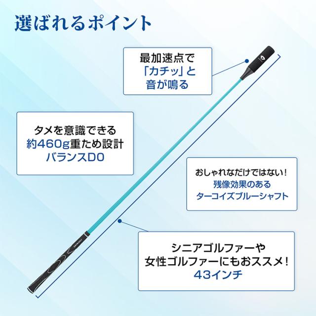ダイヤゴルフ スイングプロツアーTB スイング練習機 TR-5002 TB_1