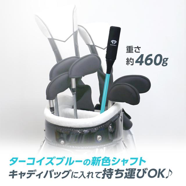 ダイヤゴルフ スイングプロツアーTB スイング練習機 TR-5002 TB_4