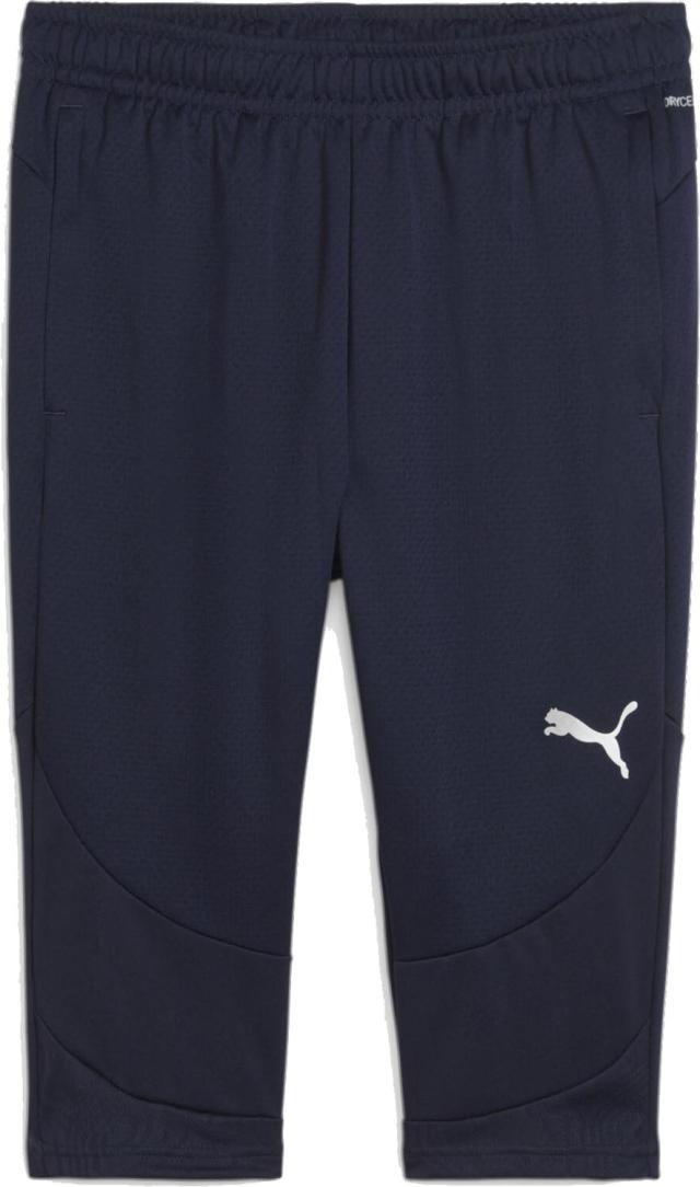 PUMA(プーマ) 659334 TEAMFINAL トレーニング 3／4 チームファイナル teamFINAL トレーニング 3／4 パンツ メンズ ボトムス ハーフパンツ トレーニング トレーニングウェア ランニング ジョギングの通販は 5,706円