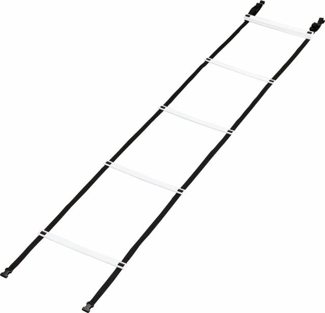 ZS5312 トレーニングラダー トレーニングラダーの通販は