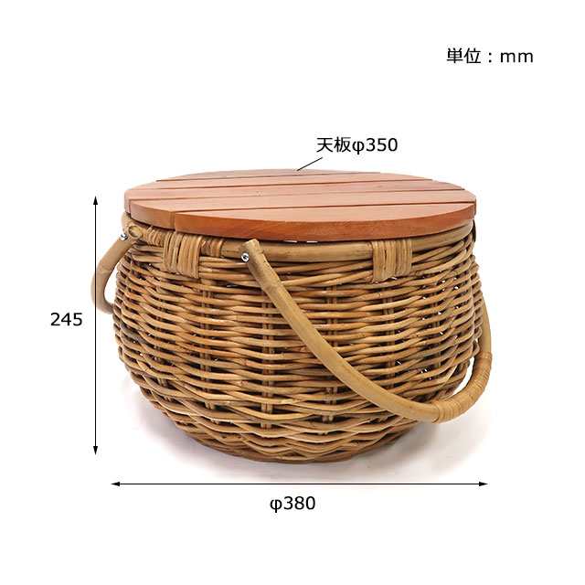 ☆大人気☆完成品【送料無料】【テーブル付きバスケット】小物