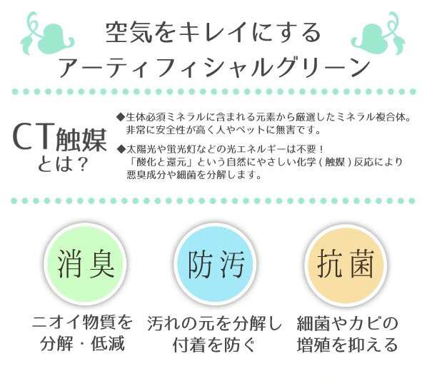 観葉植物 空気を消臭 浄化 Ct触媒 人工グリーン触媒 多肉植物 サボテン 造花 贈り物 室内消臭 浄化 抗菌 きれいにする 飾り アートフの通販はau Pay マーケット Canderry House