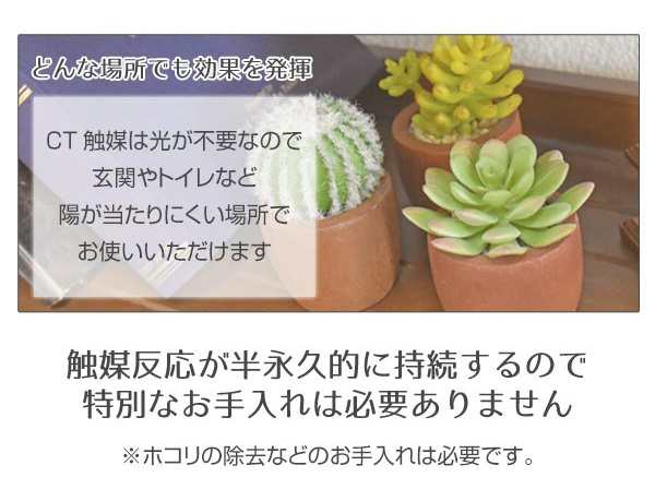 観葉植物 空気を消臭 浄化 Ct触媒 人工グリーン触媒 多肉植物 サボテン 造花 贈り物 室内消臭 浄化 抗菌 きれいにする 飾り アートフの通販はau Pay マーケット Canderry House