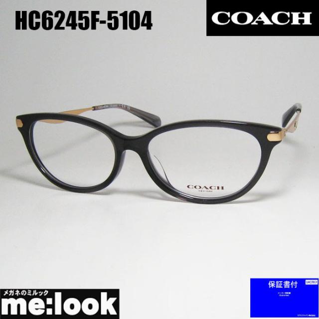 COACH コーチ レディース 眼鏡 メガネ フレーム HC6245F-5104-55 度付可 クリアグレー リビジョン製レンズでお好きなサングラス作成可能