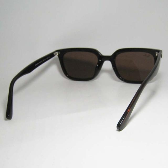 RayBan レイバン  サングラス  RB4439D-623173-54　RB4439D-6231/73-54  オパールブラウン