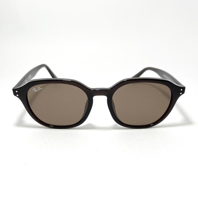Ray-Ban レイバン サングラス RB4459D-623173  RB4459D-6231/73 ブラウン オパールブラウン Opal Brown メンズ レディース セル 男女兼用モデル Luxottica Japan 日本国内正規品