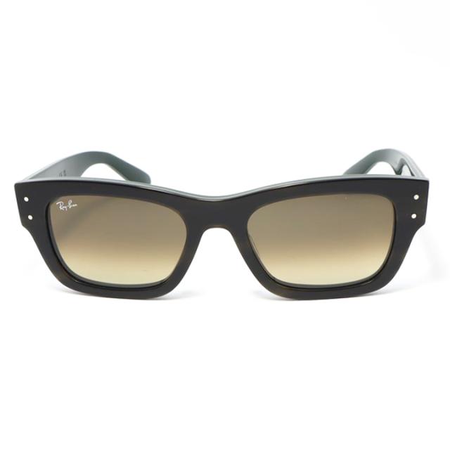 [Ray-Ban] RB7683S-140285-55 レイバン サングラス 日本国内正規品 JOSEPH ジョセフ レンズ交換可能 ストライプグリーン / ブラウングラデ_1