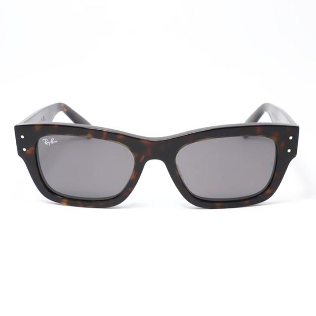 Ray-Ban] RB7683S-902B1-55 RB7683-S-902/B1-55 レイバン サングラス 