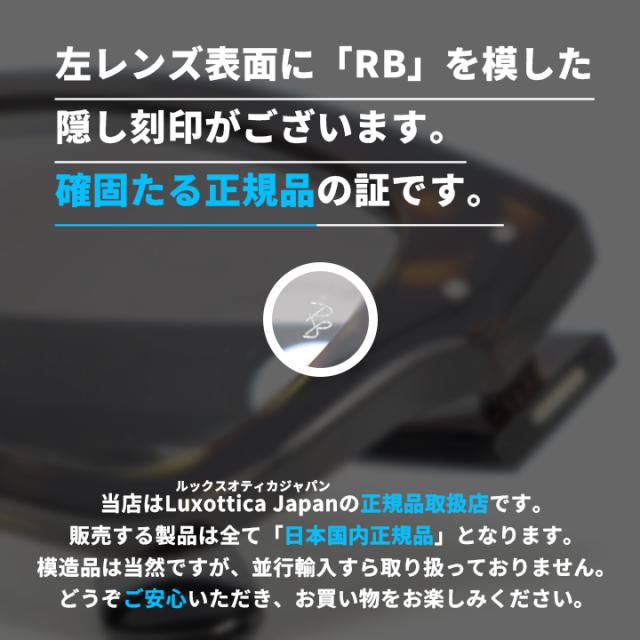 Ray-Ban] RB7683S-902B1-55 RB7683-S-902/B1-55 レイバン サングラス 