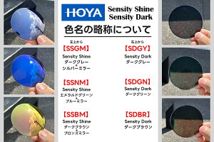 [ Ray-Ban ]　レイバン ミラー付き可視光調光サングラス RX5154-2012-SUN-1SS　RB5154 グレー/ブラウン/グリーン 車でも使える可視光調光レンズ 眼鏡 メガネ クラブマスター ミラーレンズ サイズ選択可 ブラウンデミ×シルバー 茶 日本国内正規品