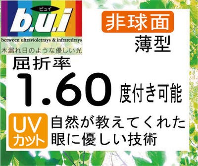 Bui ビュイレンズ UVカット眼精疲労予防レンズ 非球面1.60度付き対応（2枚価格) レンズ交換のみでもOK