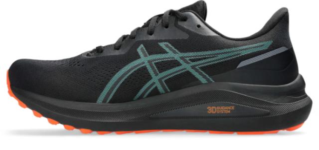 asics アシックス GT-1000 13 GTX BLACK/NOVA 29 1011B857 2