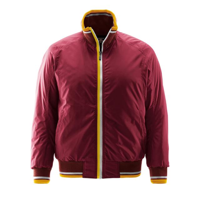 descente デサント グランドコート ナイロン チタンサーモ 野球 新品