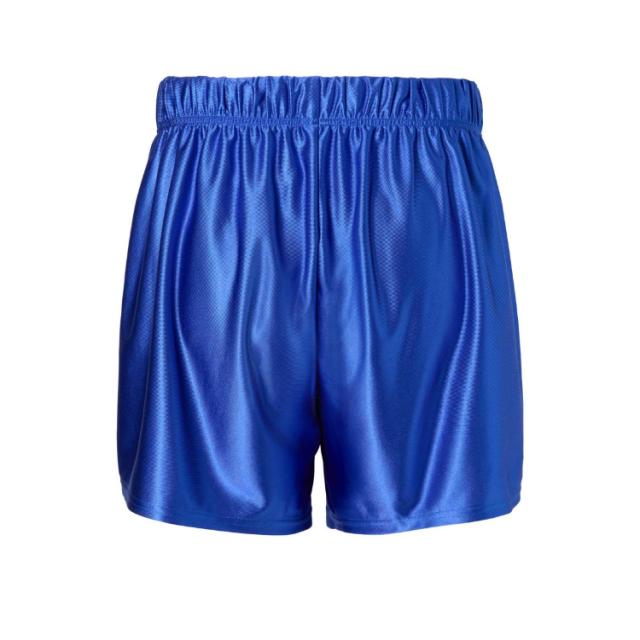 DESCENTE デサント バレーパンツ レギュラーシルエット股下13.5cm