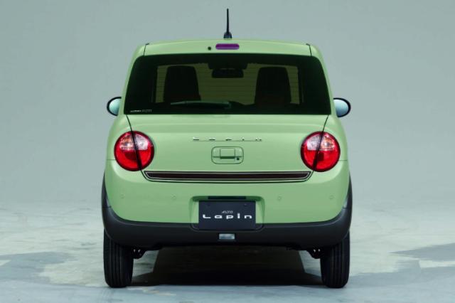 SUZUKI スズキ 純正 バックドアデカール ウッド調 AC7C 99230-80P60 | LAPAN ラパン 車用品 カー用品 車 自動車 部品 外装パーツ 外装部品 エクステリア ドレスアップ 装飾パーツ 装飾品 ワンポイント カスタム カスタマイズ バックドア ステッカー 荷室 トランク