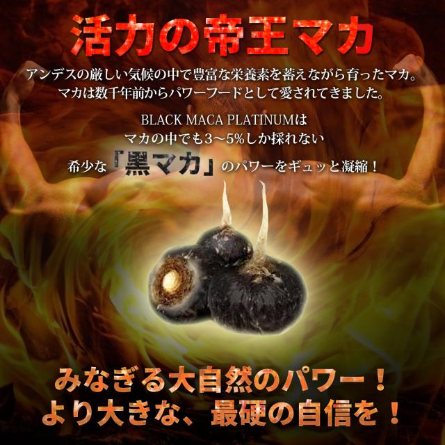 Black Maca Platinum ブラック マカ プラチナム 黒マカ マカ サプリ サプリメント シトルリン ニンニク サソリ マムシ ガラナ 活力 亜の通販はau Pay マーケット ａｎｇｉｅ ｓｅｌｅｃｔ ｓｔｙｌｅ