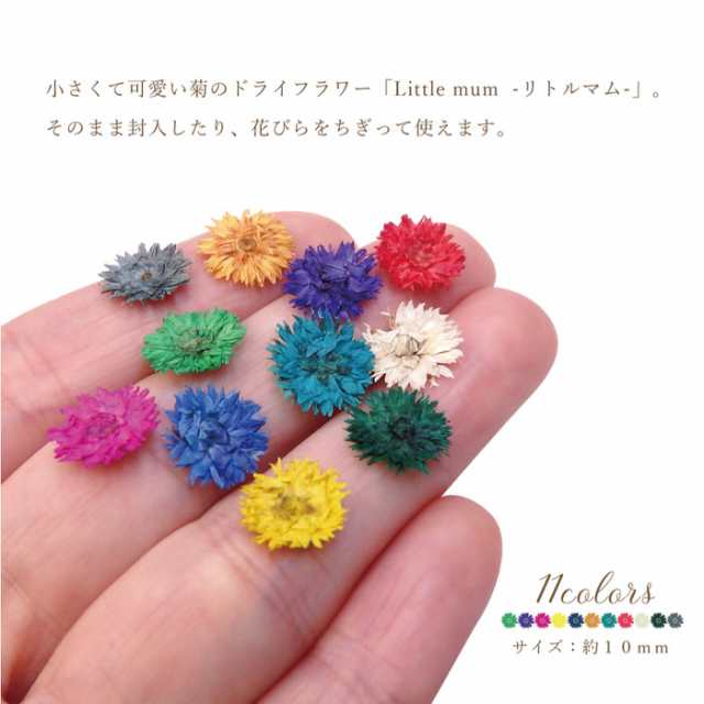 ドライフラワー リトルマム 菊 レジン ネイル 10個入り リトルマム ネイル グレー 花 ドライフラワー 手作り ハンドメイド 灰色 Uvレの通販はau Pay マーケット ａｎｇｉｅ ｓｅｌｅｃｔ ｓｔｙｌｅ