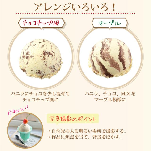 食品サンプルをつくろう！ ダブルカップアイス | 工作キット