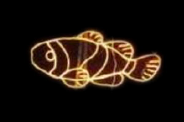 IDC-RLS037 【イルミネーション】魚イルミネーション【イエロー】【クマノミ】【魚】【アニマル】【動物】【平面】【壁掛け】【輝き】【電飾】【LED】【モチーフ】【クリスマス】【かわいい】