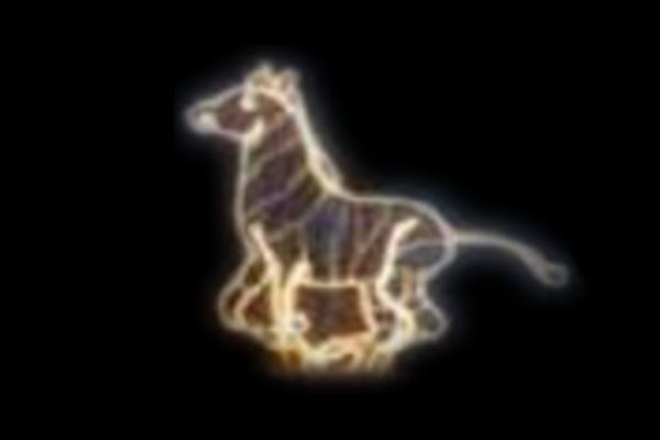 IDC-RLS054  【イルミネーション】シマウマイルミネーション【オレンジ】【シマウマ】【アニマル】【動物】【平面】【壁掛け】【輝き】【電飾】【LED】【モチーフ】【クリスマス】【かわいい】【かっこいい】の通販は