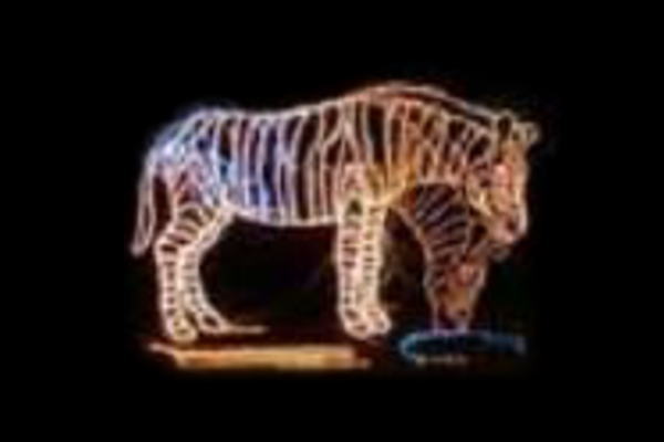 IDC-RLS055  【イルミネーション】シマウマイルミネーション【オレンジ】【シマウマ】【アニマル】【動物】【平面】【壁掛け】【輝き】【電飾】【LED】【モチーフ】【クリスマス】【かわいい】の通販は