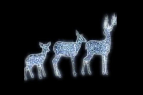 IDC-RLS080  【イルミネーション】トナカイイルミネーション【ホワイト】【トナカイ】【鹿】【アニマル】【動物】【平面】【壁掛け】【輝き】【電飾】【LED】【モチーフ】【クリスマス】【かわいい】