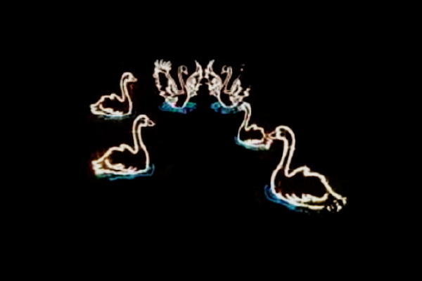 IDC-RLS096 【イルミネーション】白鳥イルミネーション【イエロー】【白鳥】【鳥】【アニマル】【動物】【平面】【壁掛け】【輝き】【電飾】【LED】【モチーフ】【クリスマス】【かわいい】