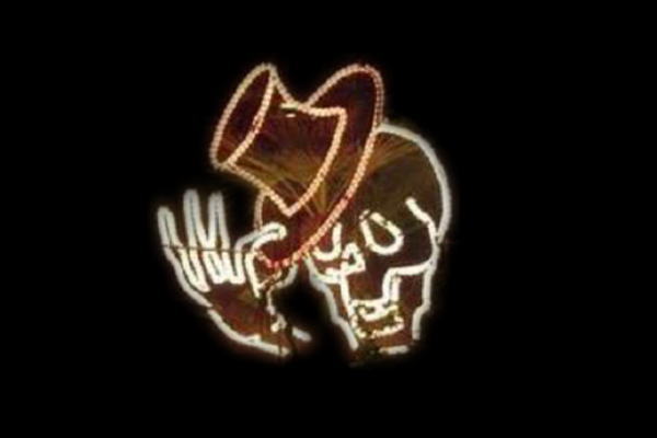 IDC-RLS195 【イルミネーション】ハロウィンイルミネーション【オレンジ】【ハロウィン】【ガイコツ】【平面】【壁掛け】【輝き】【電飾】【LED】【モチーフ】【かわいい】