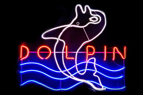 【ネオン】LEDネオンチューブ【ドルフィン】【イルカ】【海】【魚】【ネオンライト】【電飾】【LED】【ライト】【BAR】【カフェ】【看板】【イルミネーション】【インテリア】【店舗】【ネオンサイン】【アメリカン雑貨】【おしゃれ】