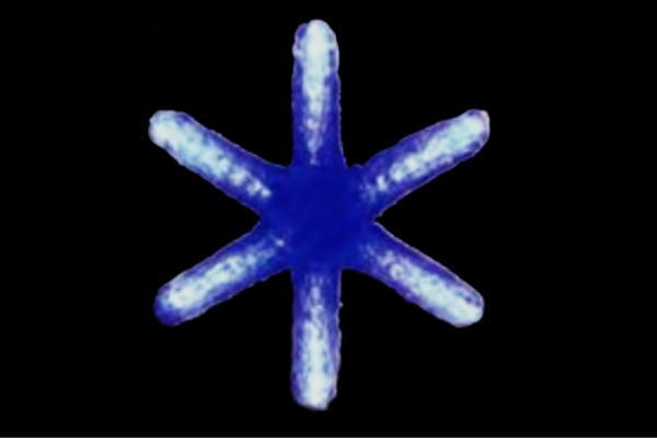 アミACR-FSN-B 【大型商品】【イルミネーション】フロースノー【ブルー】【青】【結晶】【LEDクリスタルグロー】【ライト】【光】【電飾】【装飾】【飾り】【モチーフ】【オブジェ】【パーティー】【イベント】【クリスマス】【雑貨】【グッズ】【かわいい】