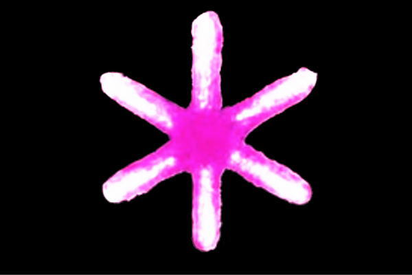 アミACR-FSN-B フロースノー【… アミACR-FSN-B 大型商品イルミネーションフロースノーブルー