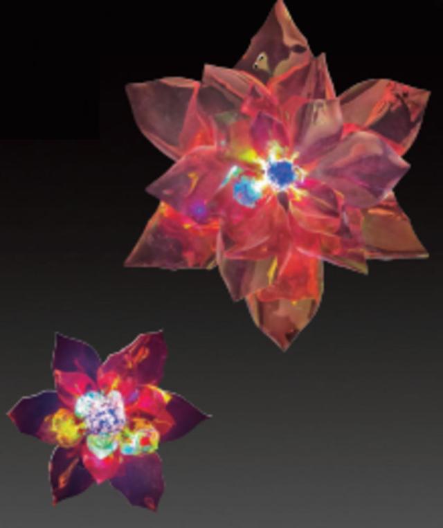 アミADS-GFW-RL　【イルミネーション】LEDドリームシャイングランドフラワー大【レッド】【赤】【花】【カラフル】【モチーフ】【きれい】【美しい】【光】【冬】【クリスマス】【ツリー】【飾り】【エコ】【電飾】【LED】【野外】【屋外】【雑貨】【グッズの通販は