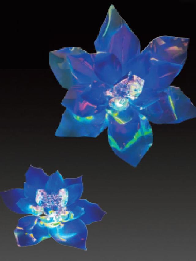 アミADS-GFW-BL　【イルミネーション】LEDドリームシャイングランドフラワー大【ブルー】【青】【花】【カラフル】【モチーフ】【きれい】【美しい】【光】【冬】【クリスマス】【ツリー】【飾り】【エコ】【電飾】【LED】【野外】【屋外】【雑貨】【グッズの通販は