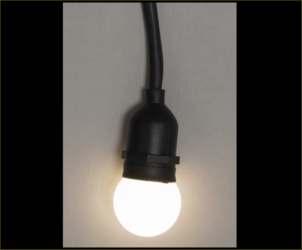 【LED】【ライト】ベルトワイヤー10球型【電球色】【提灯】【新商品】【ストリング】【ライト】【祭り】【お祭り】【プロ】【工事】【大人気】【イルミネーション】【クリスマス】【電飾】の通販は 22,000円