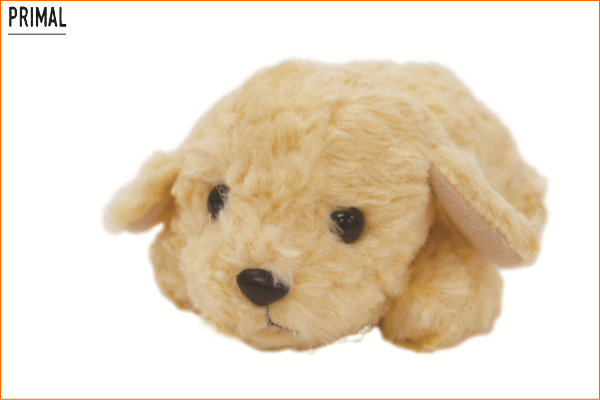 ぬいぐるみ】レトリバー【パプス】【犬】【ドック】【アニマル