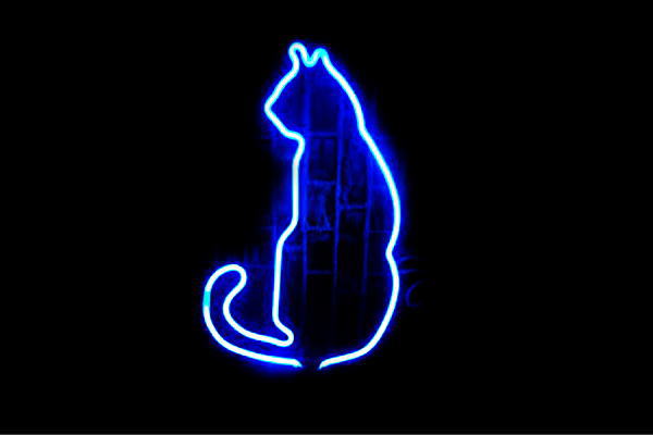 【ネオン】キャット振り向き【ネコ】【ねこ】【猫】【アニマル】【動物】【ネオンライト】【電飾】【LED】【ライト】【サイン】【neon】【看板】【イルミネーション】【インテリア】【店舗】【ネオンサイン】【アメリカン雑貨】【かわいい】【おしゃれ】