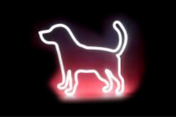 ネオン ドッグシルエット 犬 いぬ イヌ 動物 アニマル ペット ネオンライト 電飾 Led ライト サインの通販はau Pay マーケット ワールドショップ