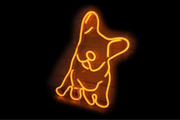 【ネオン】パグ【いぬ】【Pug】【犬】【ドッグ】【ペット】【PET SHOP】【動物】【アニマル】【ネオンライト】【電飾】【LED】【ライト】【サイン】【neon】【看板】【イルミネーション】【インテリア】【店舗】【ネオンサイン】【アメリカン雑貨】【おしゃれ】【かわいい】