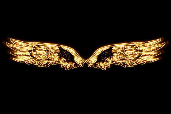 【ネオン】ウイング【4】【羽】【翼】【はね】【つばさ】【WING】【フェザー】【天使】【ネオンライト】【電飾】【LED】【ライト】【サイン】【neon】【看板】【イルミネーション】【インテリア】【店舗】【ネオンサイン】【アメリカン雑貨】【おしゃれ】の通販は 287,370円