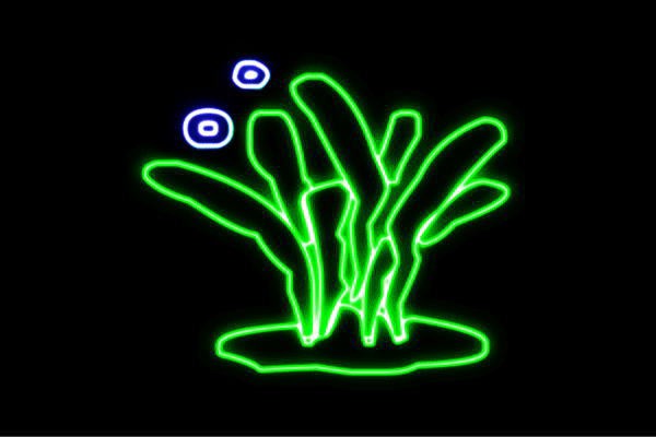 ネオン 海藻 かいそう ワカメ 昆布 わかめ イソギンチャク 海 ネオンライト 電飾 Led ライト サインの通販はau Pay マーケット ワールドショップ